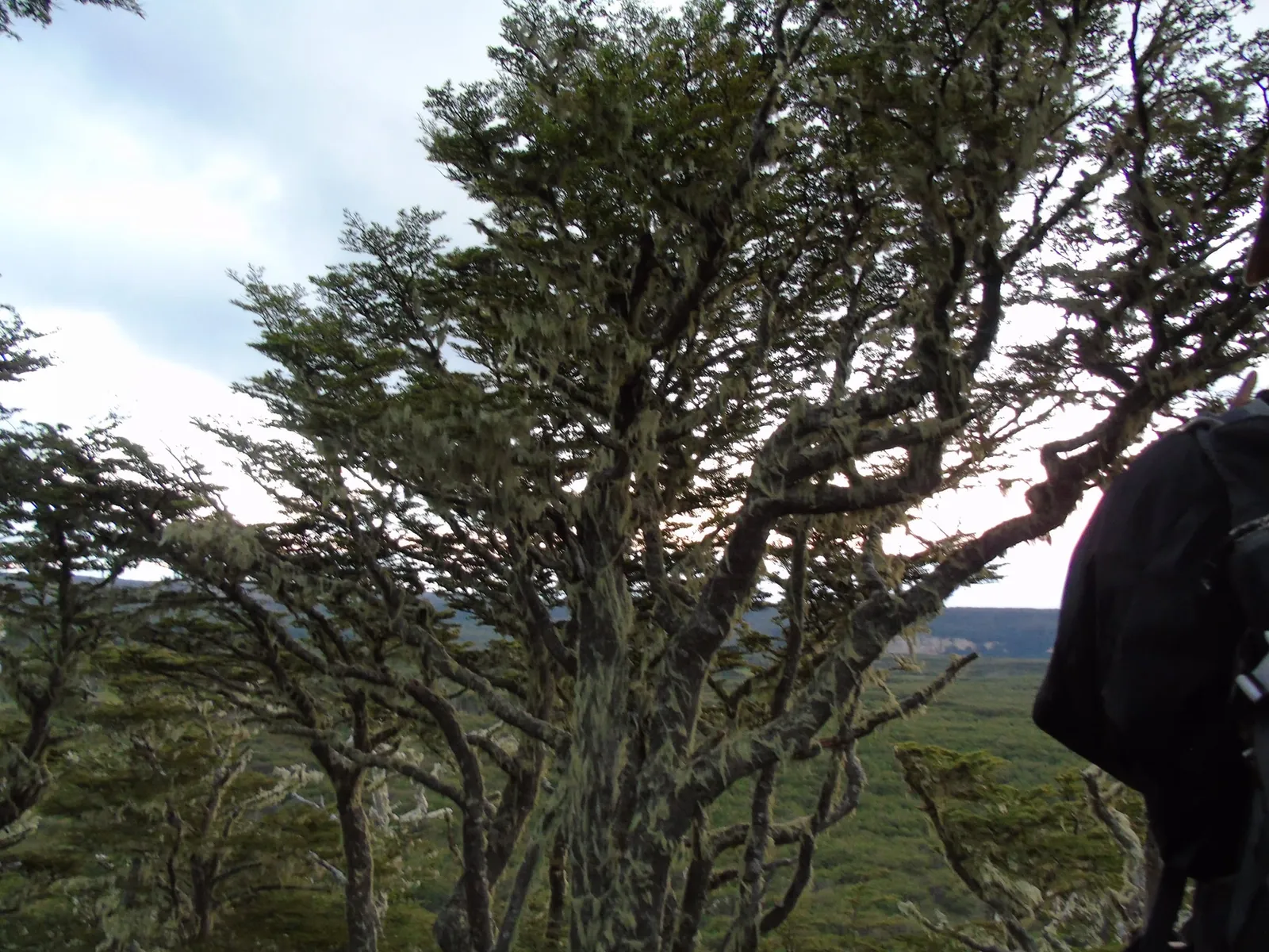 Trekking Cerro Andino — foto 3