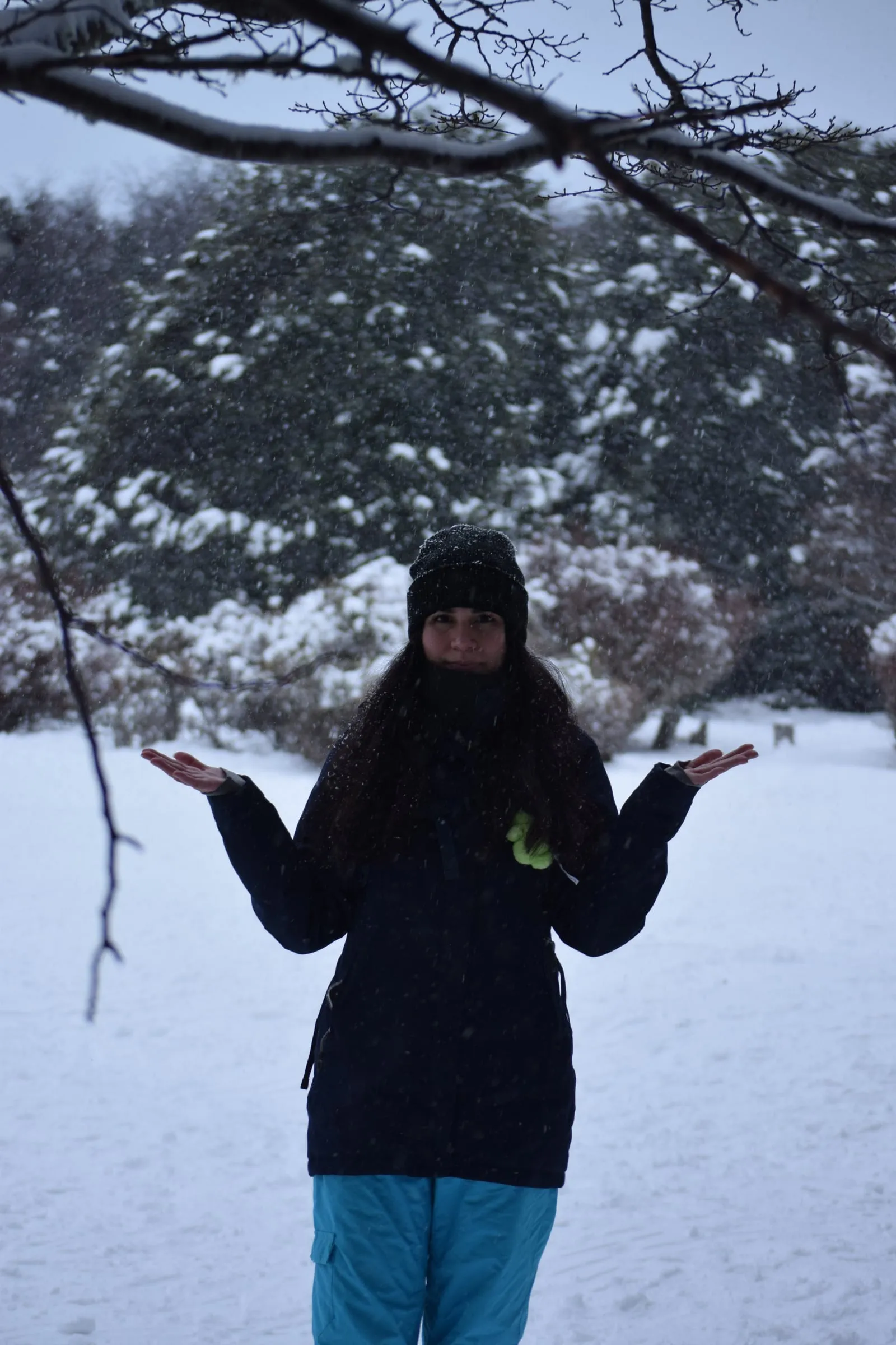 Una viajera recibe la nieve con las manos abiertas en el bosque del Cerro Andino