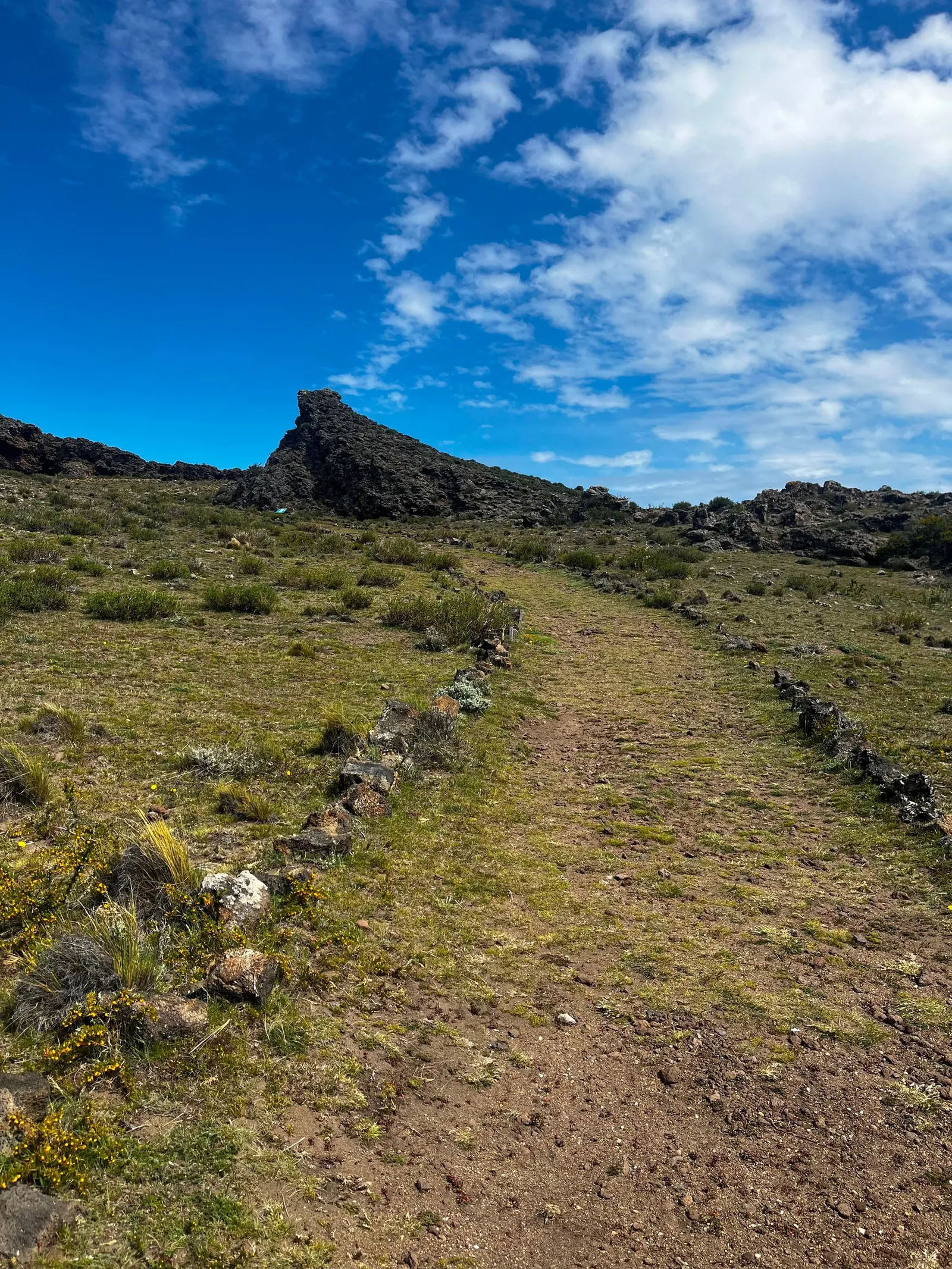 Tour Pali Aike — foto 6