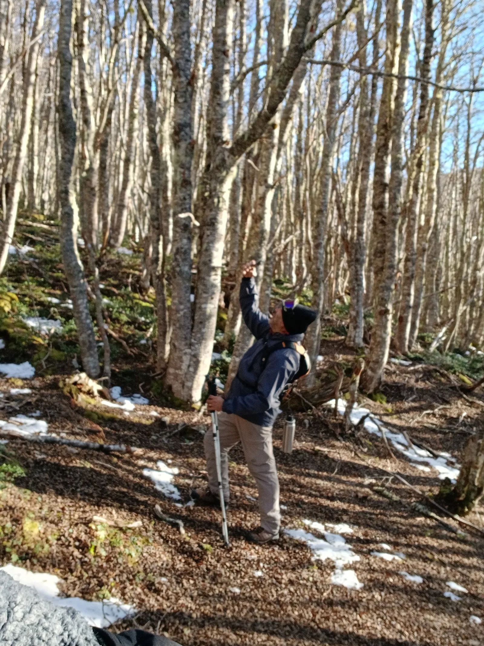 Trekking Cerro Andino — foto 6