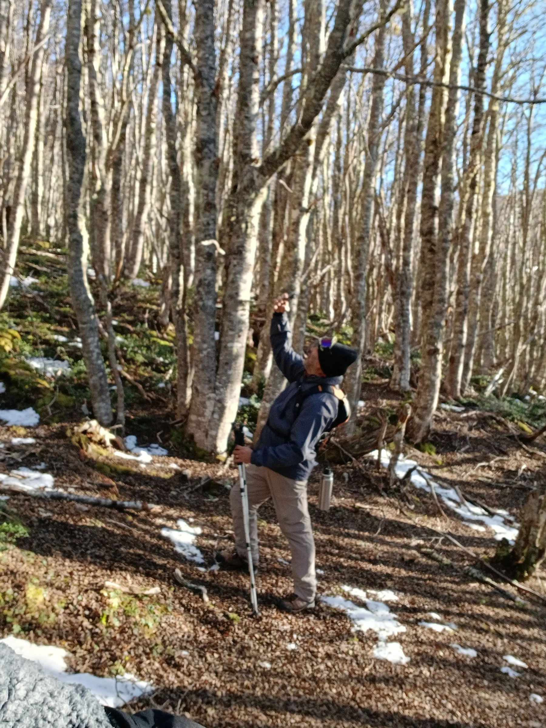 Trekking Cerro Andino — foto 6