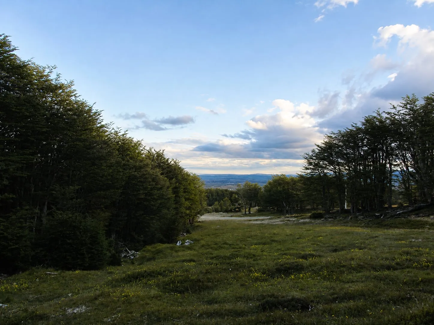 Trekking Cerro Andino — foto 1