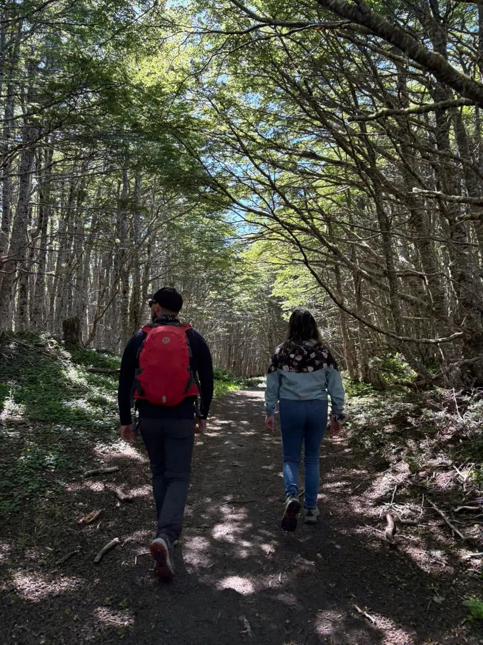 Trekking Reserva Nacional Magallanes — foto 1
